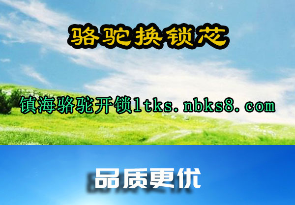 骆驼换锁芯