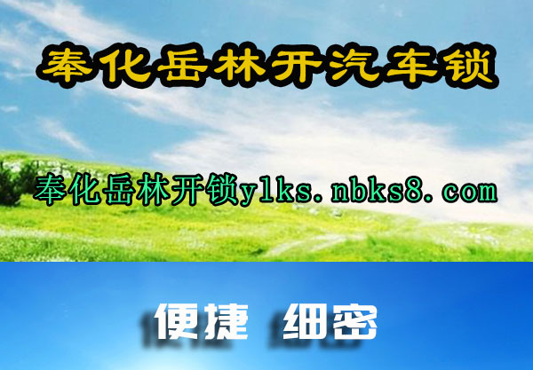 奉化岳林开汽车锁
